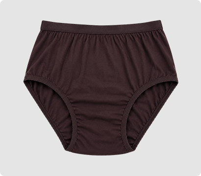 Ladies Outer Elastic Briefs